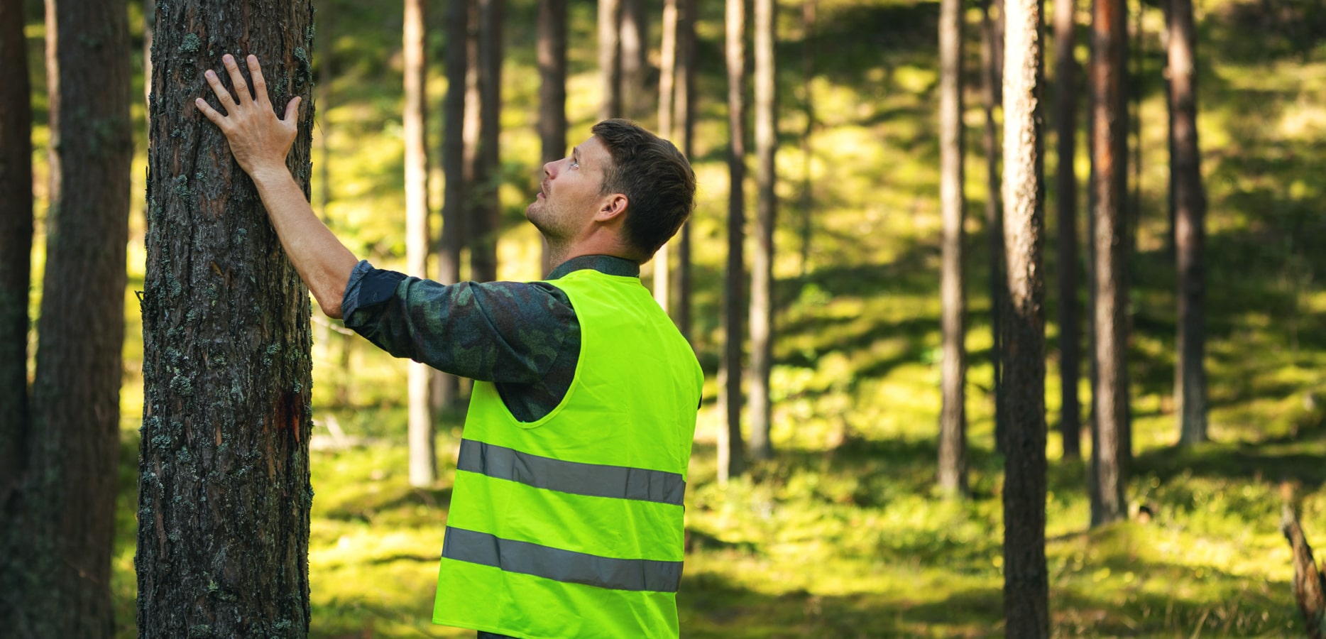 Management of Trees