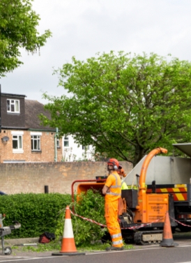 Commercial Grounds Maintenance