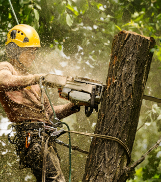 Tree Reduction